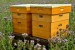 nástavkové úly